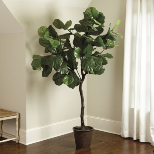Bunny Williams Faux Fiddle Leaf Fig Tree | Ballard Designs - 